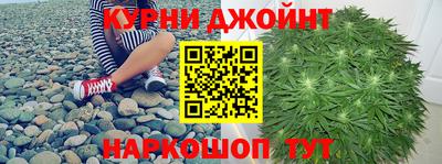 сатива Камышлов
