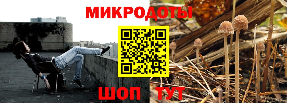 Псилоцибиновые грибы мицелий Кулебаки